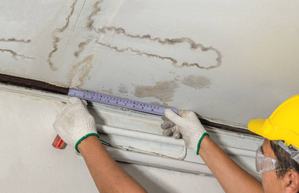 Reliable Water Damage Repair contractor in Martinsburg, WV by Hirex Water Damage